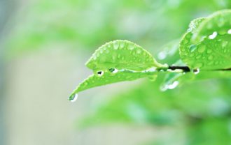 梅雨の時期と女性の髪の毛の関係