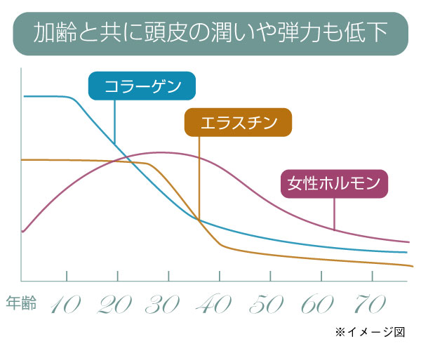 頭皮の潤いと弾力